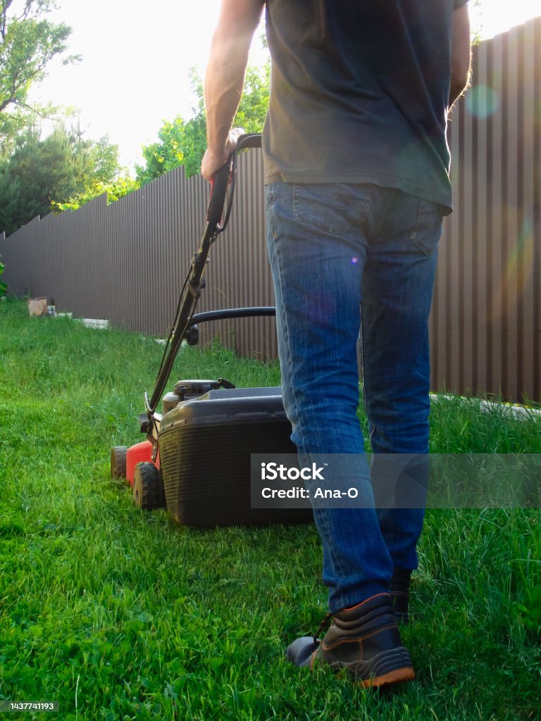 istockphoto-1437741193-1024x1024 Maquinaria de corte y desbroce